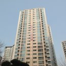 도곡1-114 네이버블로그
