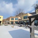 플레이독애견풀빌라 이미지