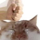 하루샵