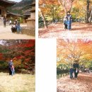 경영지도오롯 | 두째가 네살이었던 가을 1 - 선운사와 채석강의 추억