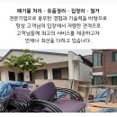 현대동백서비스(주) 이미지