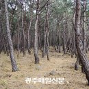 효헌사 이미지