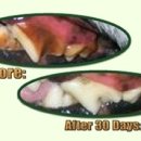 벳츠라이프 이미지