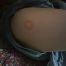 필립소아청소년과의원 이미지