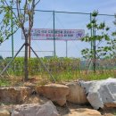 신안동복합스포츠타운 실외체육시설 이미지