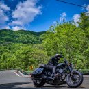 (웨스트인디언)동강.속초 박투어 이미지