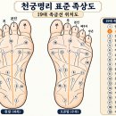 9장. 천궁명리 표준 족상도와 19대 족금선의 정밀 배치론 이미지