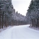 올레관광호텔 이미지