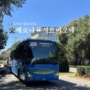 버스정류소(17215)(1) | [🇮🇹 뚜벅이 돌로미티] 베로나에서 시르미오네 (시내 출발 필독, LN026 버스, 소요 시간, 셔틀)
