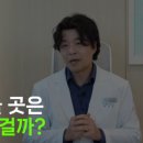 건강의숲