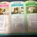 대구 펫 택시 이미지