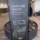 신라 레거시호텔 경주 : 아기랑 방문 후기, 수페리얼 풀 트리플룸