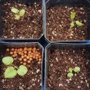 빛으로부터..(fr 이미지