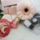 스텔라 인셀덤 네이버블로그