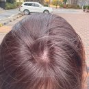 새치 | 포항 양덕 미용실 추천 포항 최초 두피염색 NO.1 더샵헤어 새치커버 후기