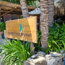 근용농장 | 나뜨랑 판랑투어 솔직 후기｜사막·혼총곶·포도농장 다녀온 리얼 평가