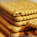 강남 치과 강남구강악안면외과치과의원 강남점 전문 치료의 선택