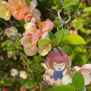 요요플라워 이미지