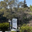 5338 | [도시정원] 제주도 서귀포 중문 맛집 한식뷔페 | 가성비 한식뷔페 돔베고기 | 내돈내산후기