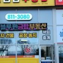 블루핀제니스공인중개사사무소 네이버블로그