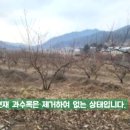 중현농장 이미지