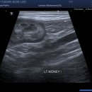 원진동물병원 이미지