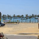 수비치캐슬 이미지