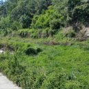 금빛 태양광발전소 이미지