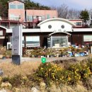 자연애오리 이미지