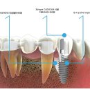 영바이오텍 이미지