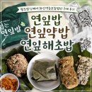 [팔도밥상페어] 화신영농조합법인 연잎밥, 연잎약밥, 연잎해초밥 후기
