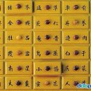 우리대학약국 이미지
