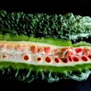 교리여주쌀밥 이미지