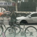 원평동물병원 | 2021년 8월 일상