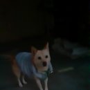 예천여자중학교 앞 이미지