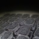 김정수농장 이미지