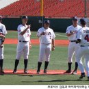 베그웰(BAGWELL)