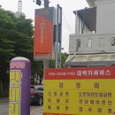 대박카써비스