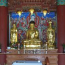 제주 올레길 7코스 이미지