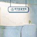 루리동물병원 | 강동구 고덕동 동물병원 루리동물병원 위치 오는길 후기