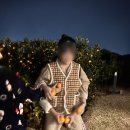 스테이 소그락 이미지