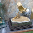 줄버디골프아카데미 | 줄버디골프아카데미는 전주골프레슨의 새로운 기준을 제시한 곳! 생생한 후기 남겨요!