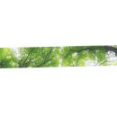 카페;489-11