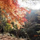 중앙동122 이미지