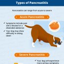 알파동물병원 이미지