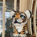 펫살롱 헤아림 이미지