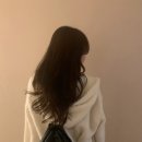 로티샵