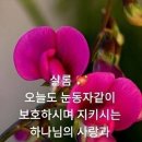 사랑가운데 이미지