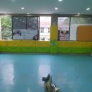 단비태권도장 이미지