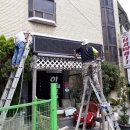 하와이장 이미지